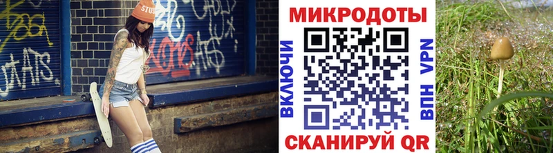 Галлюциногенные грибы прущие грибы  Купить где  Суджа 